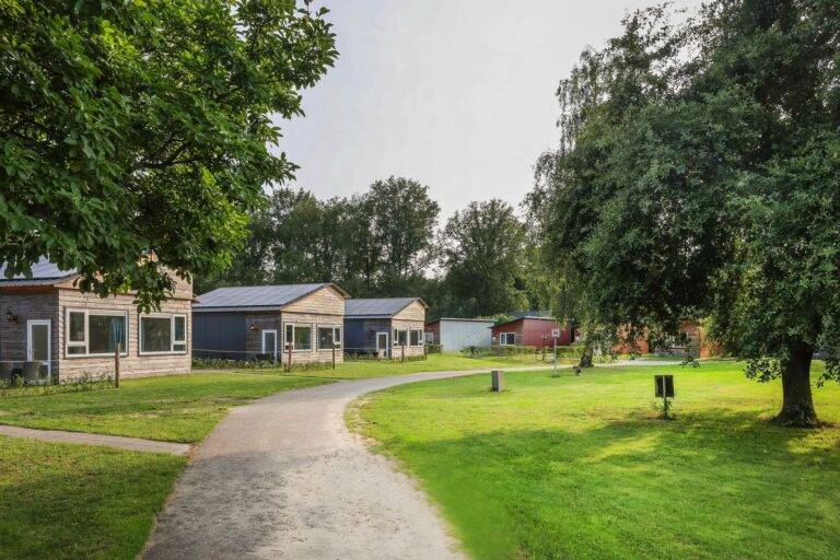 Gruppe Lanch im Vogelnest: Zusammenkommen in Frieden